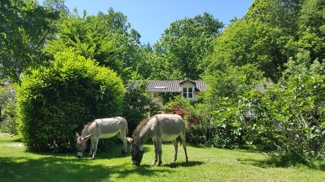 Le Moulin De Pensol - Gites Exterior foto